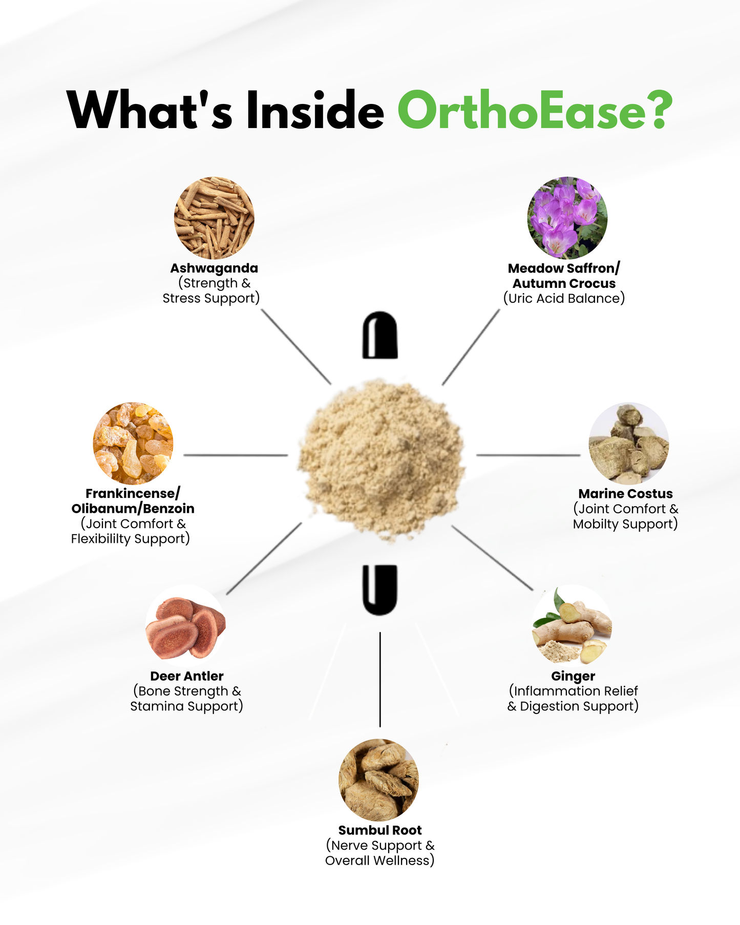 OrthoEase™ — Advanced Herbal Support for Joints, Mobility & Uric Acid Balance