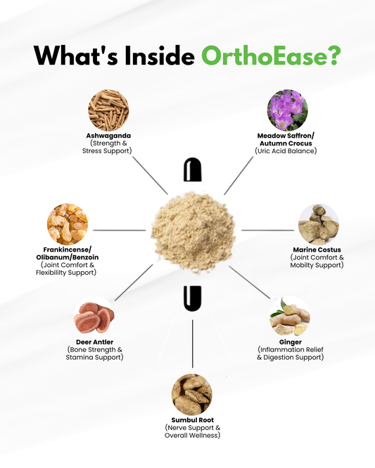 OrthoEase™ — Advanced Herbal Support for Joints, Mobility & Uric Acid Balance
